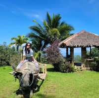 Experience Nature at Eden Nature Park 