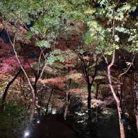 超靚名古屋東山動植物園