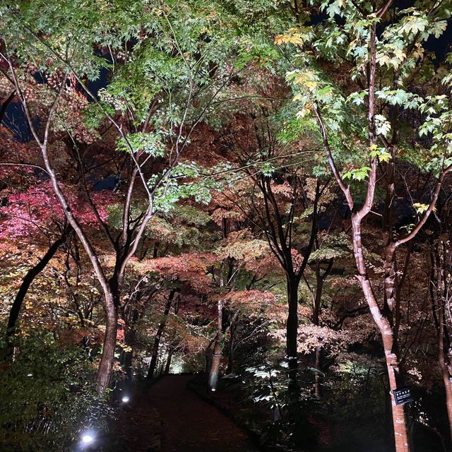超靚名古屋東山動植物園