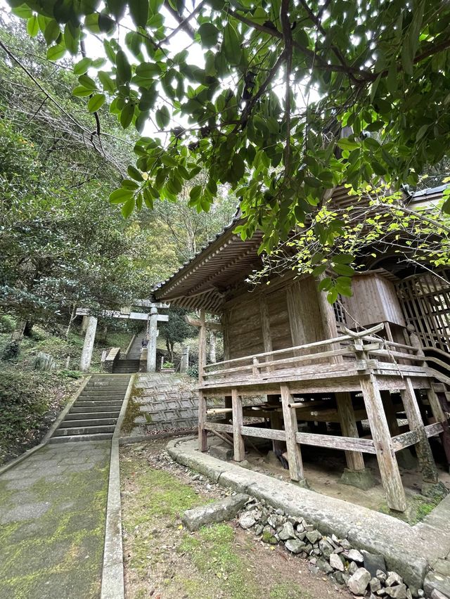 【熊本】天草﨑津諏訪神社
