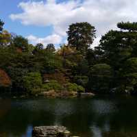 京都御所の御池の鯉