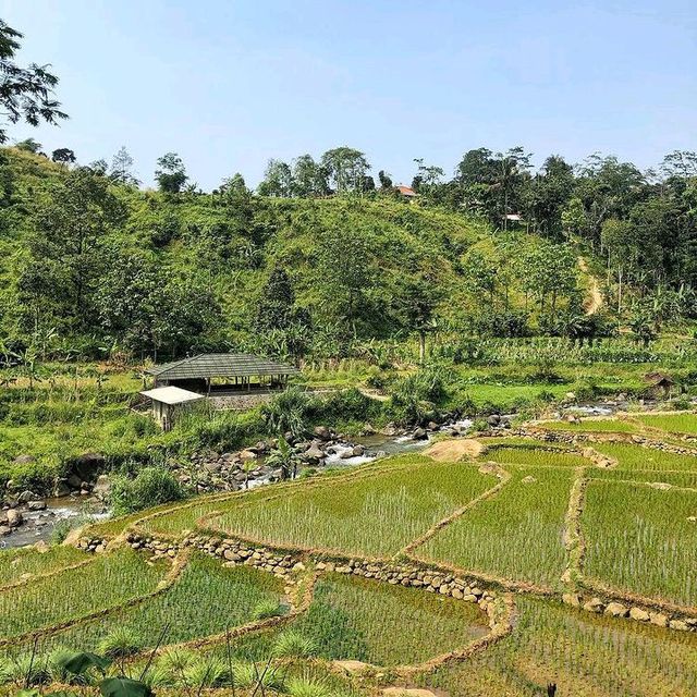 MOUNT PANCAR, BOGOR CITY