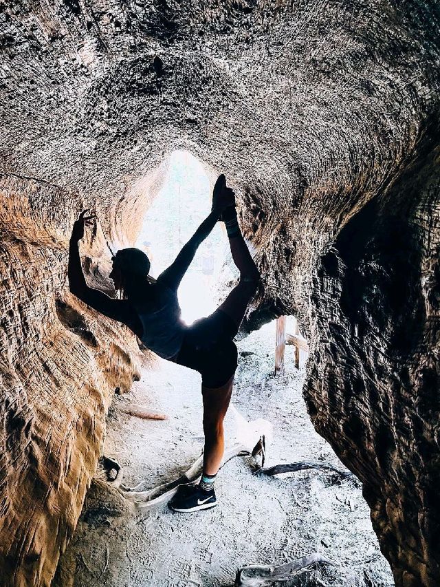 Sequoia National Park