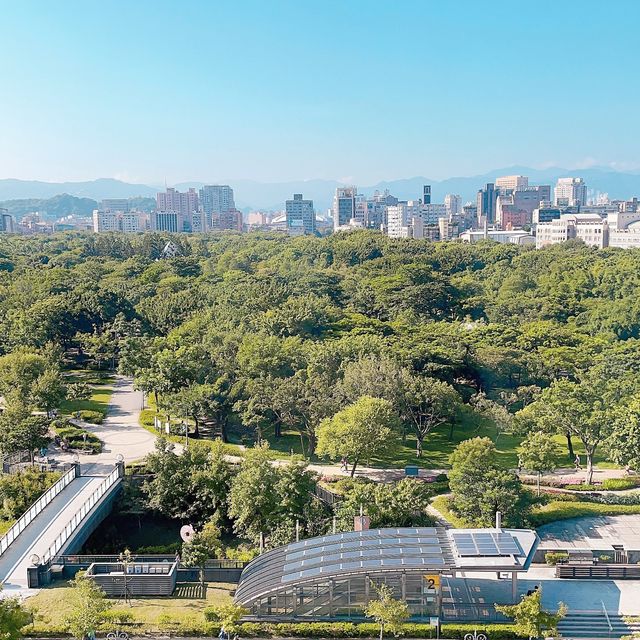 台北❘ 生日佈置🍰丹迪旅店大安森林公園店🌲