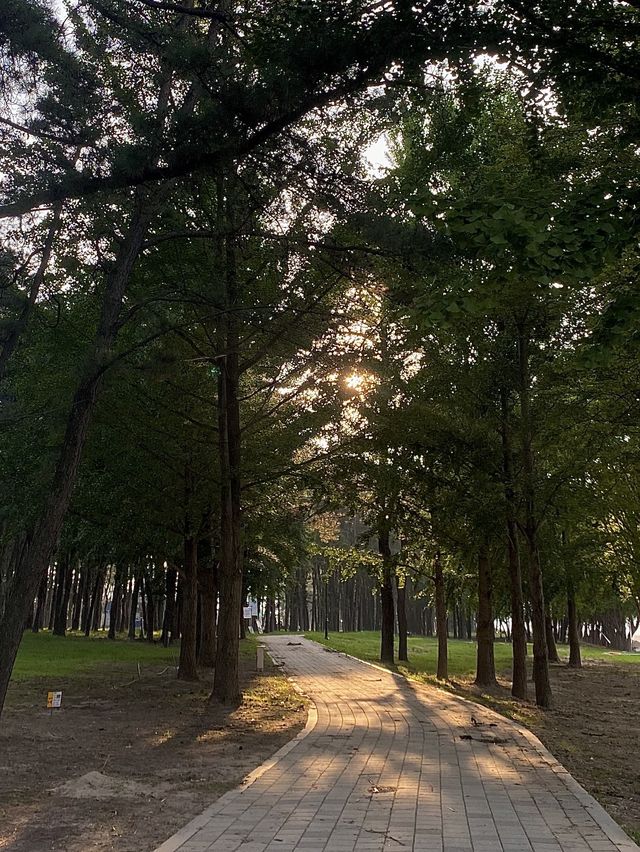 코로나 시국 최고의 힐링 여행지 🕊