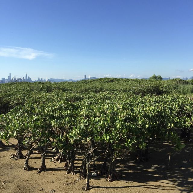 下白泥的日落