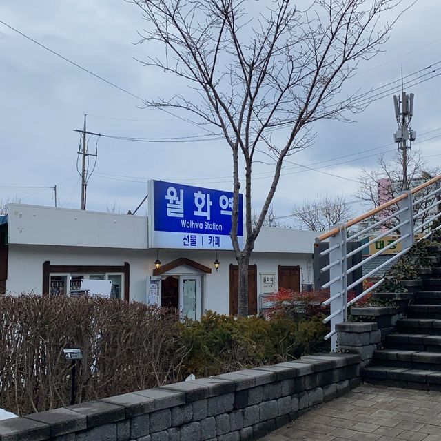 가성비 코스 [강릉 중앙시장]