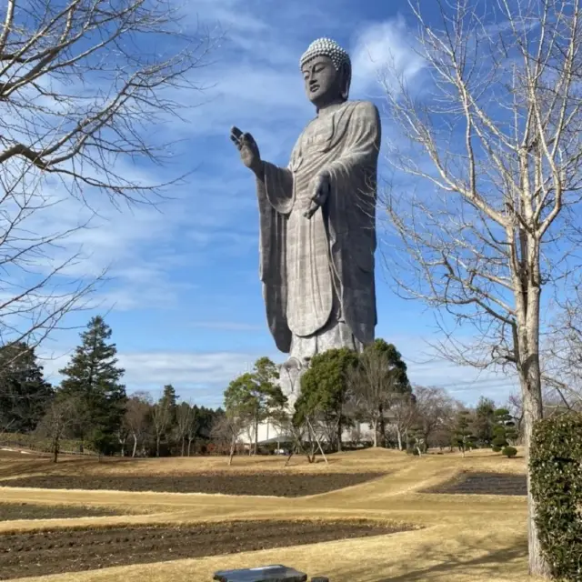 とてもおっきな大仏　