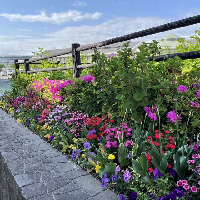 愛知県　清洲公園のつつじ