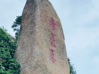 春花落
