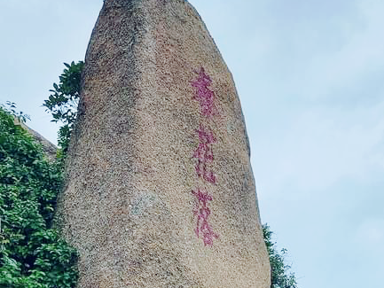 春花落