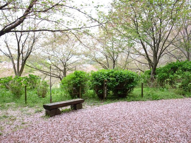 歐洲城堡風格｜松山綜合公園📸️🤩🤩