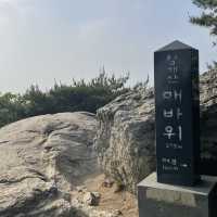 [등산 초보도 완등 가능 ] 서울 등산하기 좋은 산 추천  청계산 