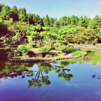 🌳 한라산에서 즐기는 숲캉스, 절물자연휴양림