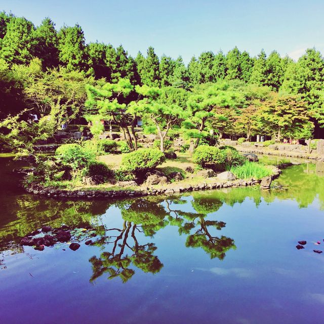 🌳 한라산에서 즐기는 숲캉스, 절물자연휴양림