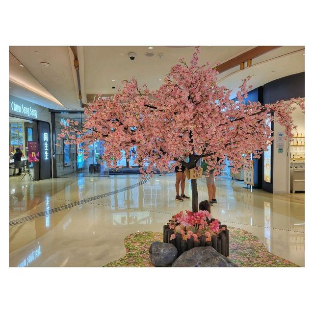 遇．花．緣。櫻花祭。北角匯 