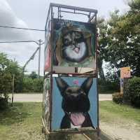 Wonderful Arts and Painting