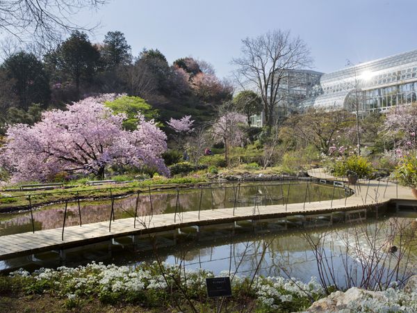 Makino Botanical Garden