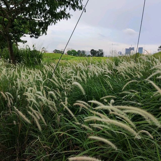 Jurong Lake Gardens