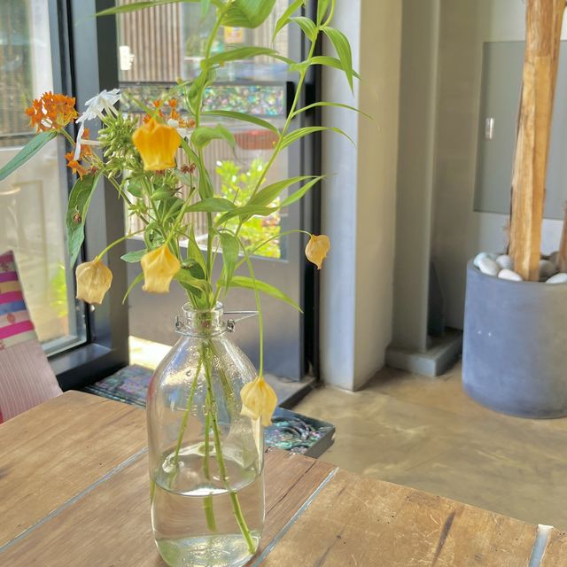 과천에 이런 카페가 있다고!?🌿