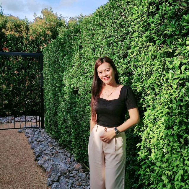 หลง คาเฟ่ @พัทลุง