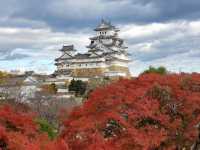 紅葉と世界遺産のコラボ🍁