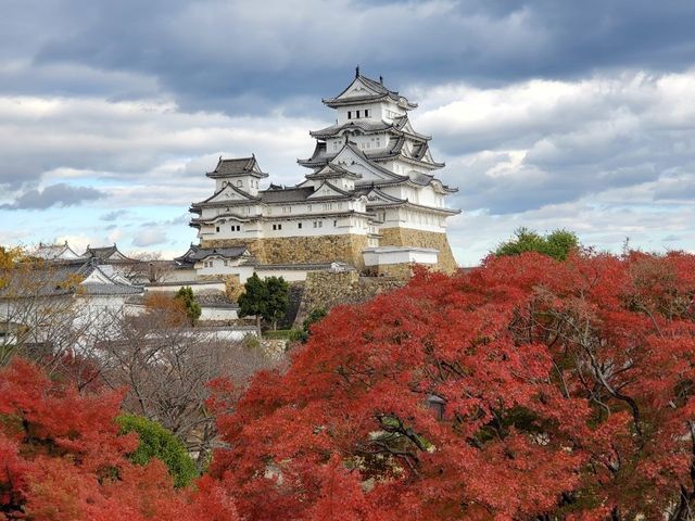 紅葉と世界遺産のコラボ🍁