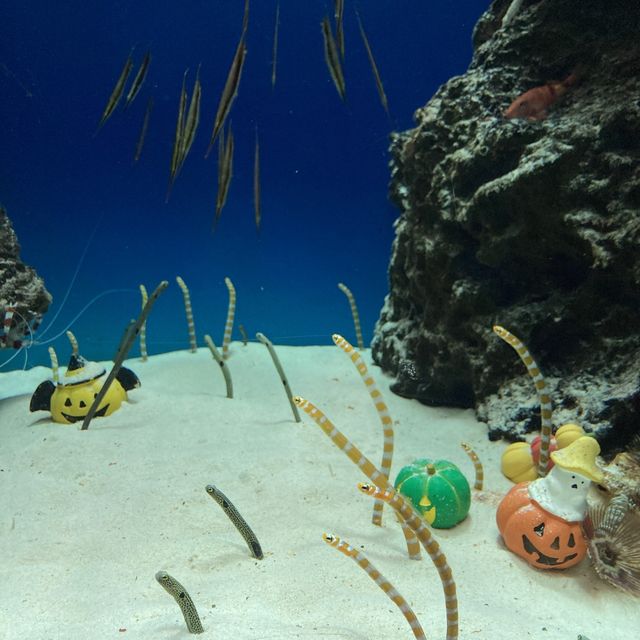 マリホ水族館