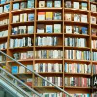 Cool Relaxing Starfield Library 