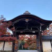 【京都府】秋の二尊院へ