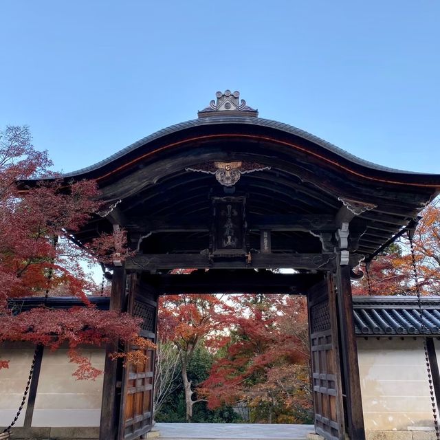 【京都府】秋の二尊院へ
