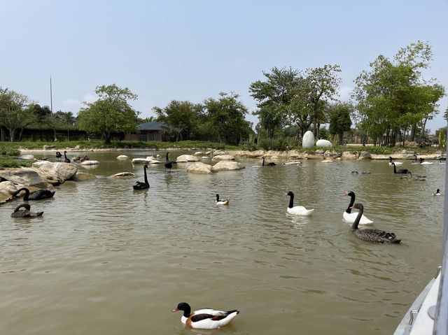Vinpearl River Safari @ VinWonders Nam Hoi An 🇻🇳