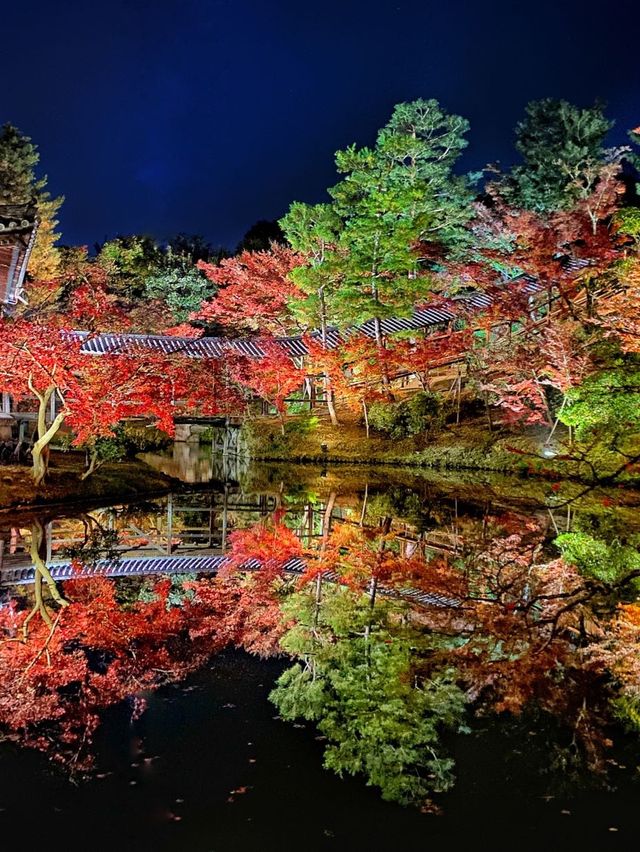 【京都】高台寺 夜間特別拝観✨美しすぎる紅葉ライトアップ✨