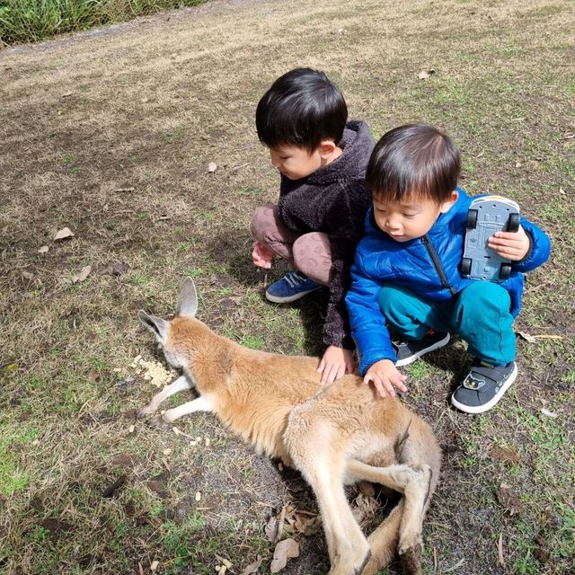 Kids Love Caversham Wildlife Park