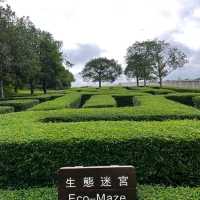 HK Wetland Park!