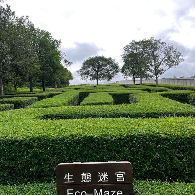 HK Wetland Park!