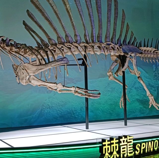 恐龍展