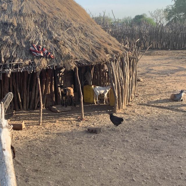 Tribes in the Mango National Park are real. 