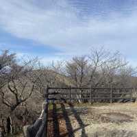 三重縣御在所岳看最美風景
