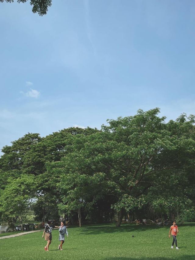 คาเฟ่สไตล์สวน Mulberry Mellow กาญจนบุรี