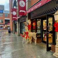 The Byward Market-Shopping Destination