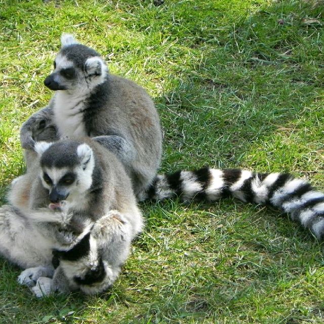 big and amazing zoo in Prague