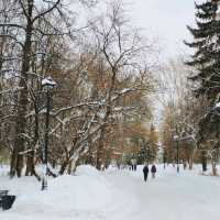 beautiful winter 