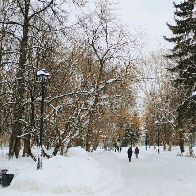 beautiful winter 