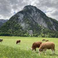 《📍奧地利》鮮為人知的仙境 — Achensee 阿亨湖