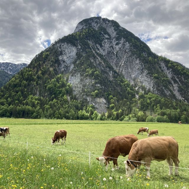 《📍奧地利》鮮為人知的仙境 — Achensee 阿亨湖