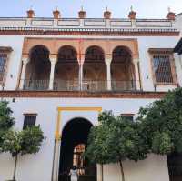 Nice Palace 
