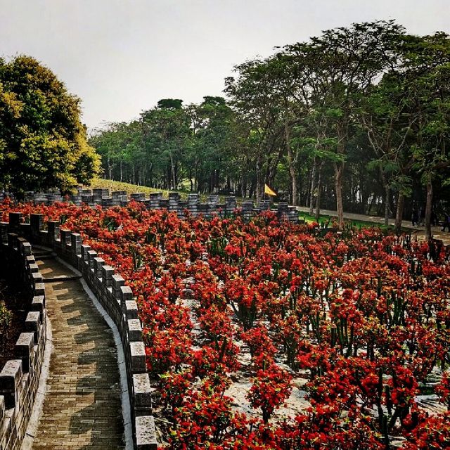 Fantasy Baihuazhou Garden