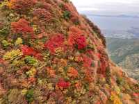 紅色秋山美景 