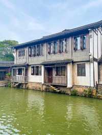 Canals in Wuzhen Water Town🛶🌳🌱